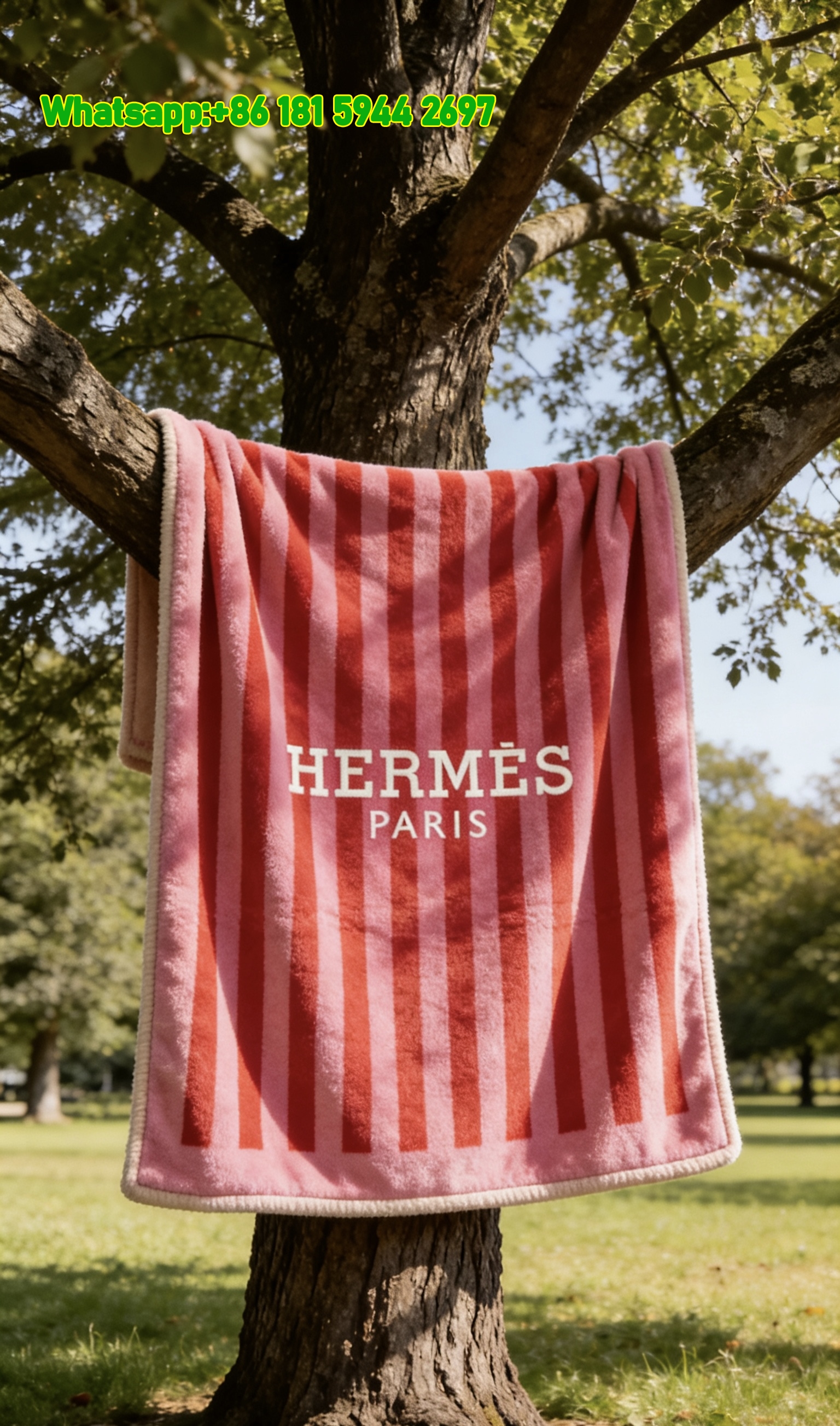 Hermès Style Flannel Sofa Throw Blanket IMG_4984